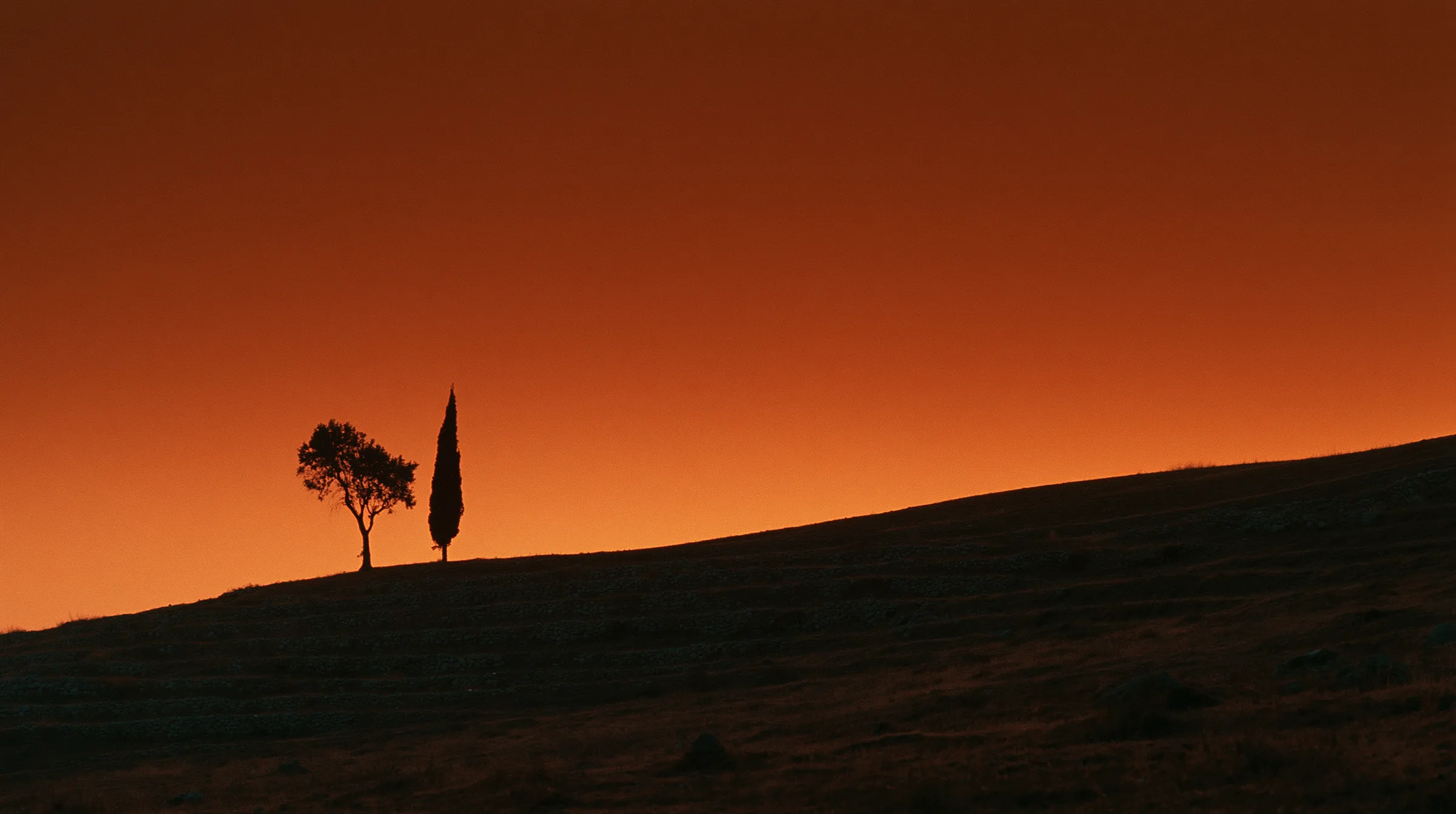 A terraced hillside under a burnt orange sky just after sunset, cypress in silhouette on the crest.